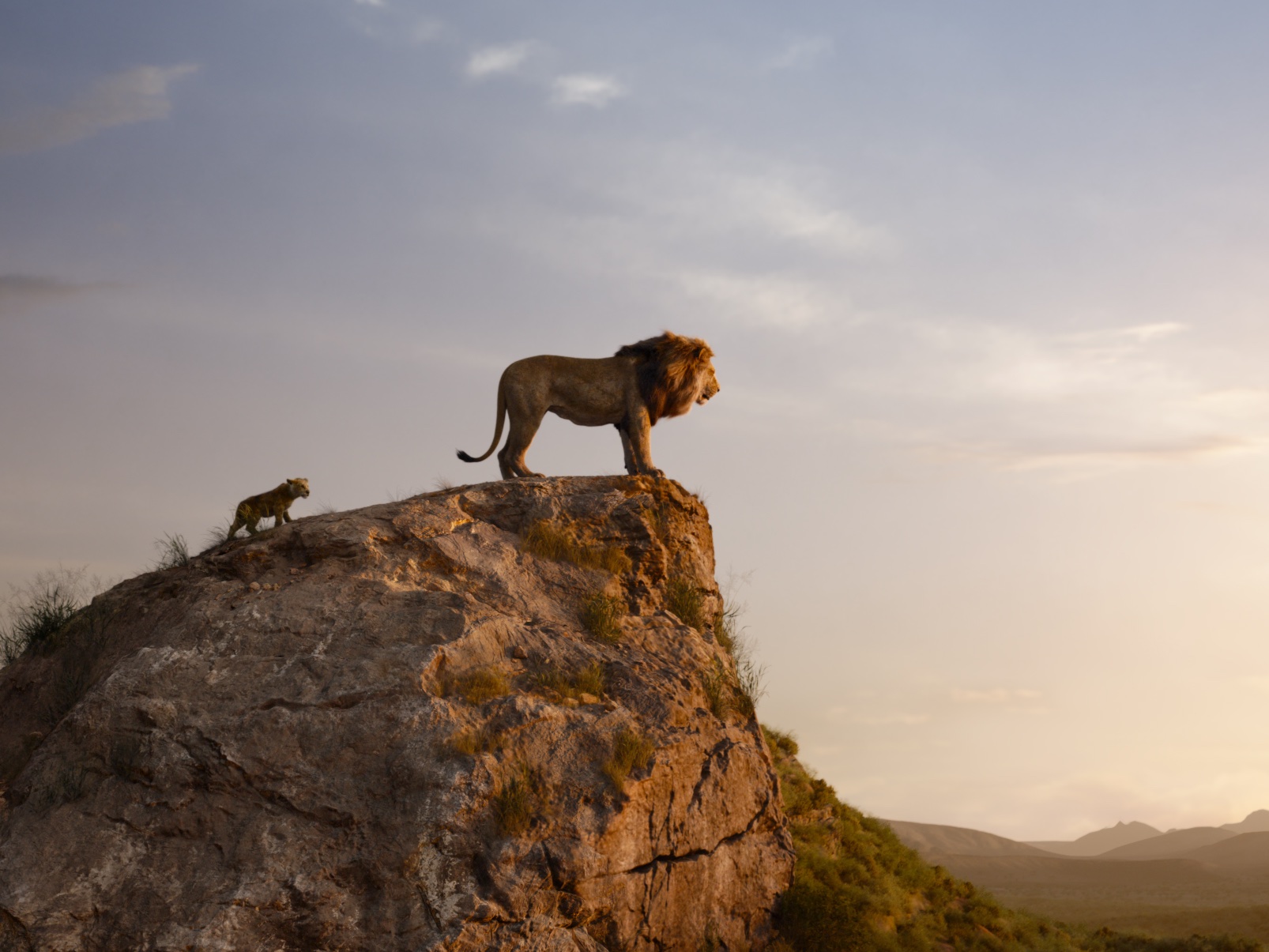 The Lion King Review Disney S Cgi Remake Is Lifelike But Listless Sight Sound Bfi