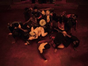 Climax first look: Gaspar Noé’s dance demonic - image