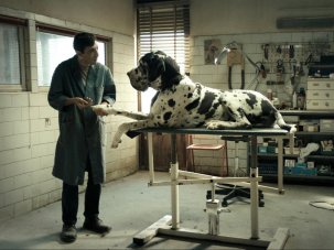Dogman first look: Matteo Garrone’s film grits its teeth in the face of life’s savagings