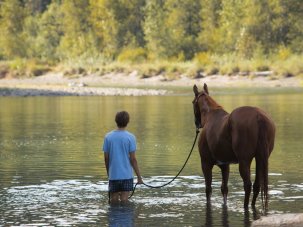 Film of the week: Lean on Pete, an intimate teenage oater - image