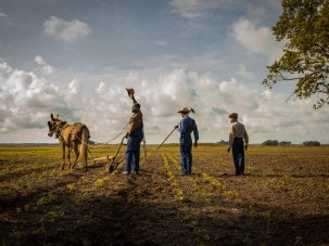 Mudbound review: families at war on home soil
