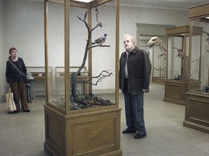 Film of the week: A Pigeon Sat on a Branch Reflecting on Existence - image