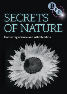 Secrets of Nature (DVD) | BFI