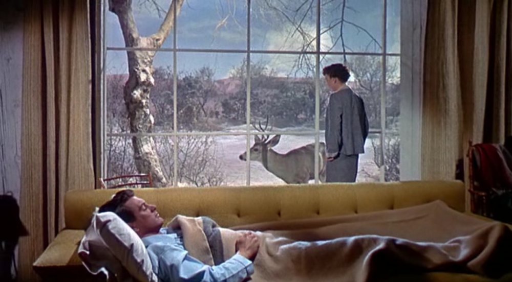 All that Heaven Allows (1955)