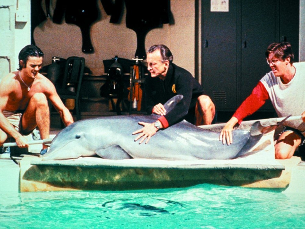 The Day of the Dolphin (1973)