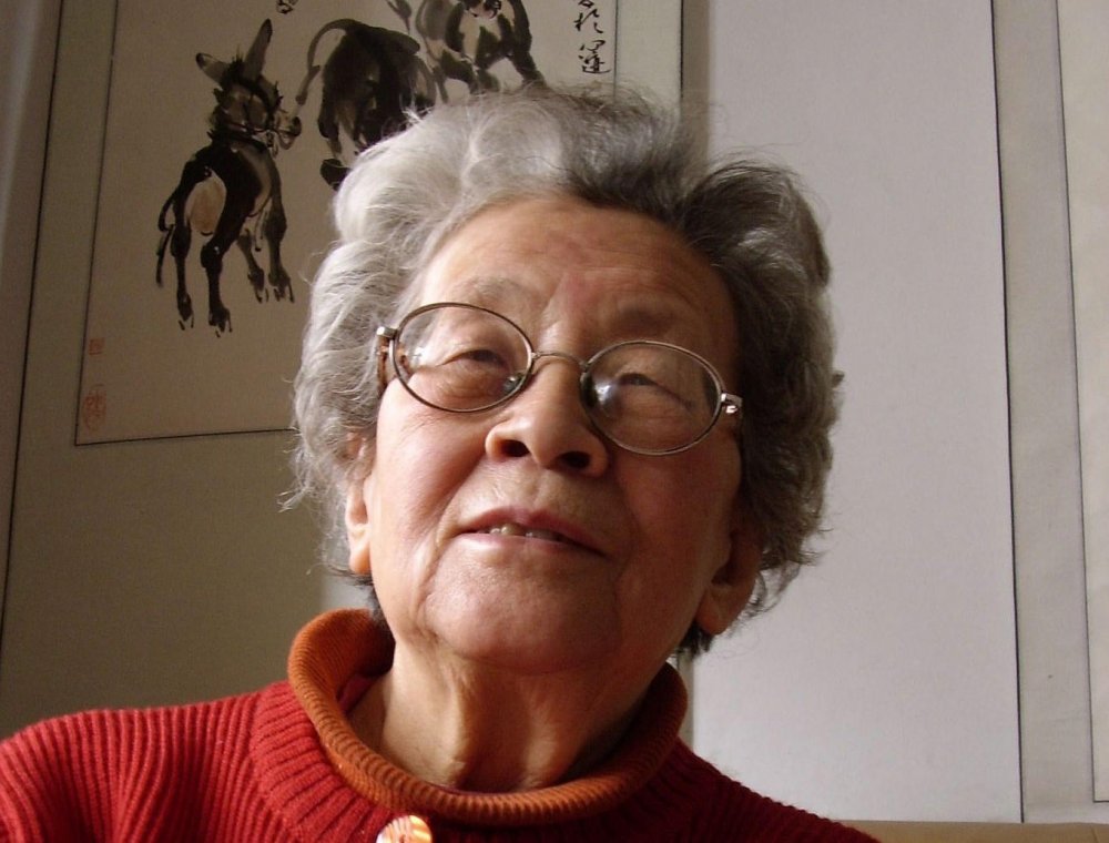 Fengming, A Chinese Memoir (He Fengming, 2007)