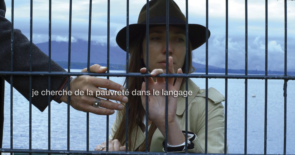 Goodbye to Language (Adieu au langage, 2014)