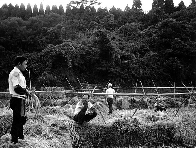 Heta Village (Heta Buraku, 1973), part of Ogawa Productions&amp;rsquo; Sanrizuka Series