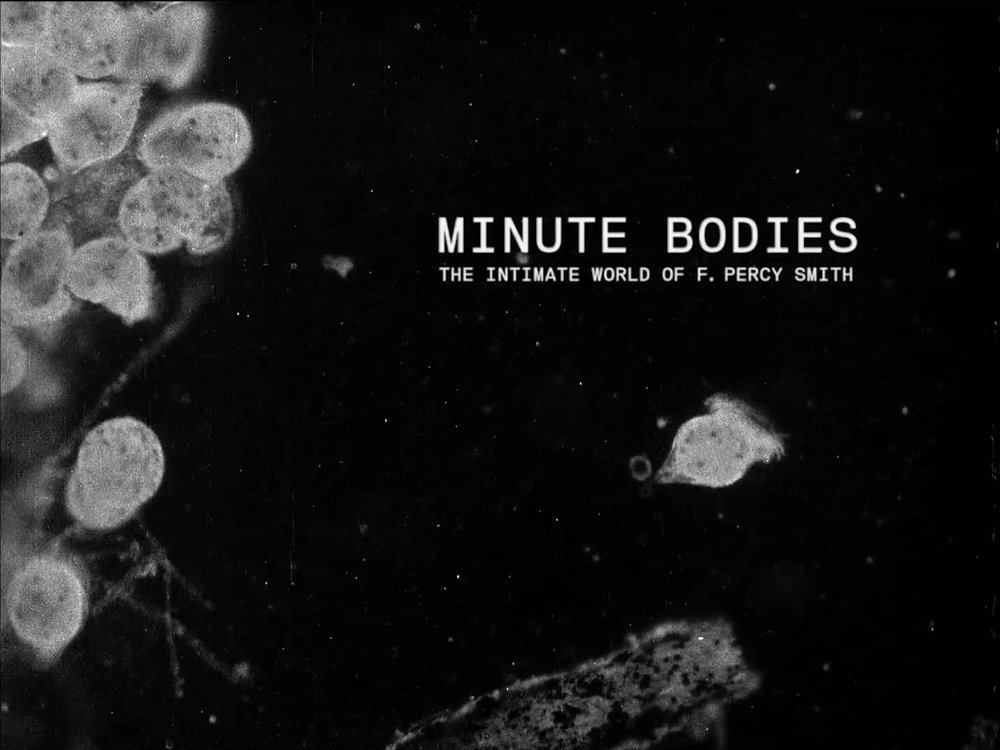 Minute Bodies: The Intimate World of F. Percy Smith (2016)