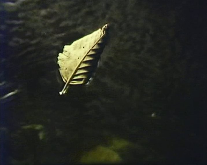 The River Must Live (1966)
