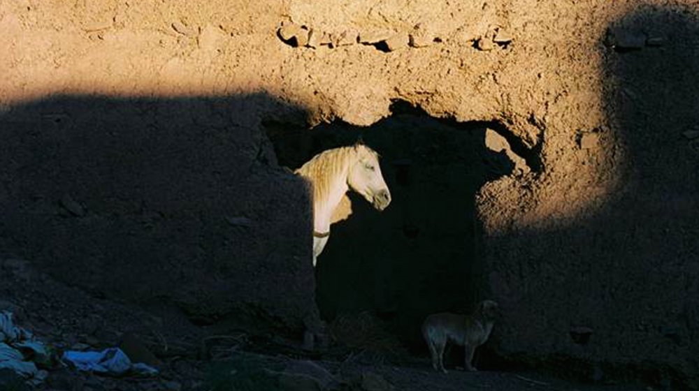 The Sky Trembles and the Earth is Afraid and the Two Eyes are Not Brothers (2015)