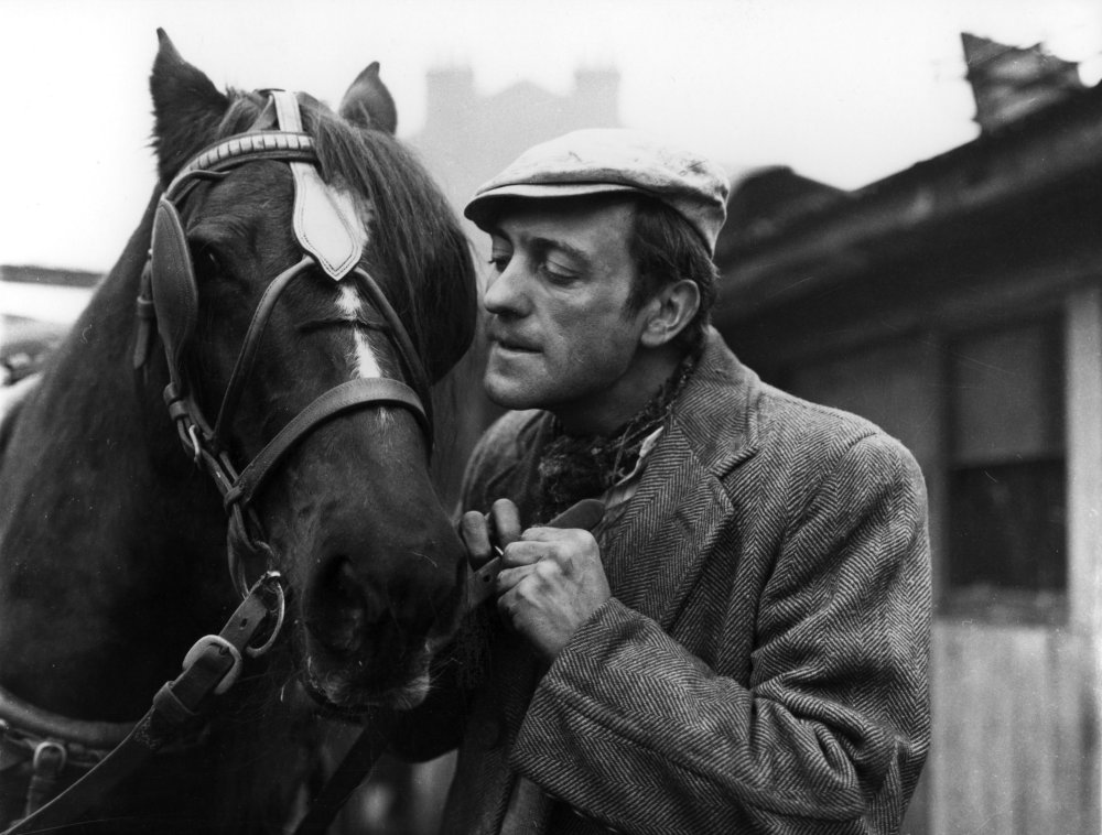 Steptoe and Son: The Offer (1962)