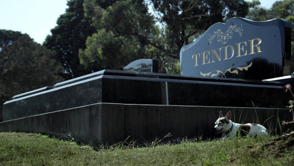 Tender (2014)