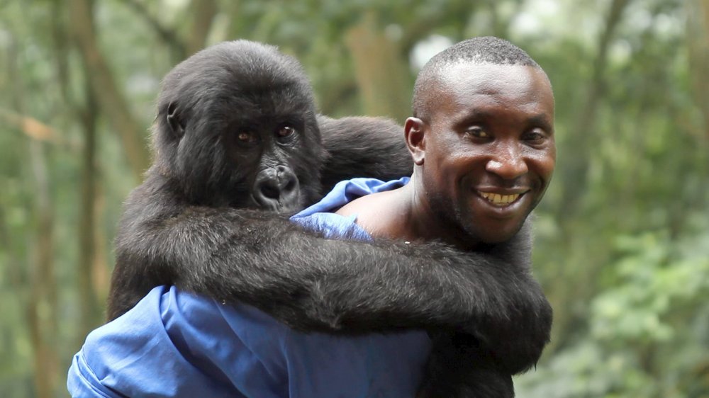 Virunga (2014)